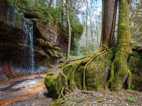 Chattahoochee-Oconee National Forest