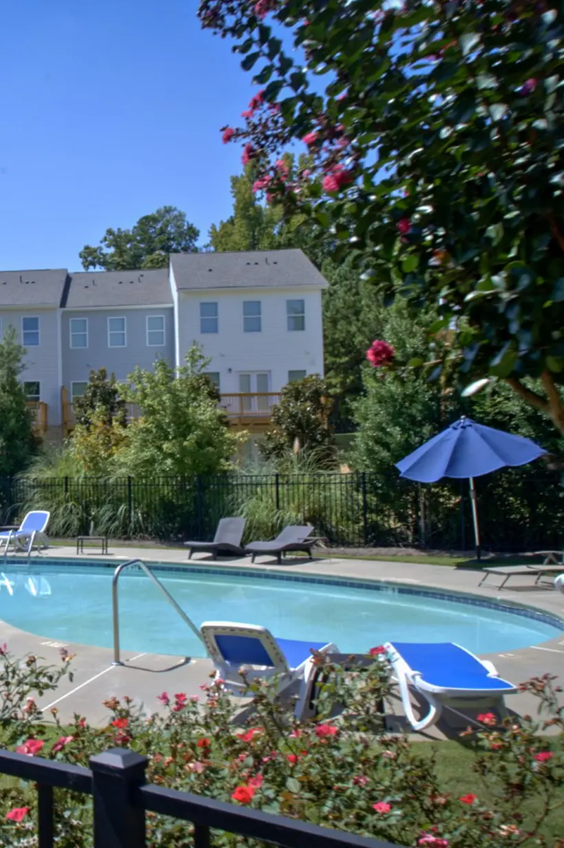 Swimming pool at Shoo Fly