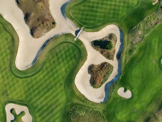 Aerial view of the green grass of the golf course.